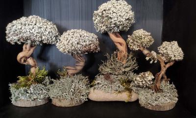 Прикрепленное изображение: IMG_20210426_152820.jpg